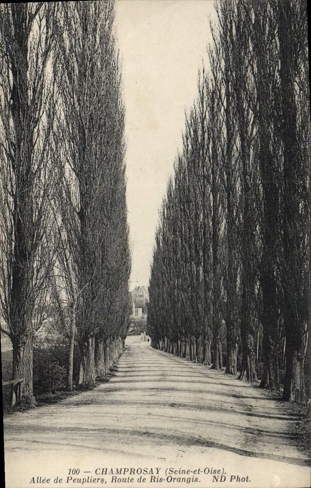 Reihe von Poplars, Champrosay (Seine-et-Oise) — Route de Ris-Orangis — ND Phot. - Vorderseite