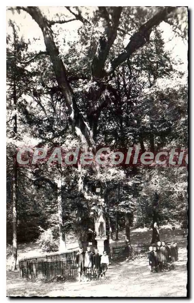 Chaville (S.-et-O.) — O Carvalho da Virgem — Editor E.M. - Frente