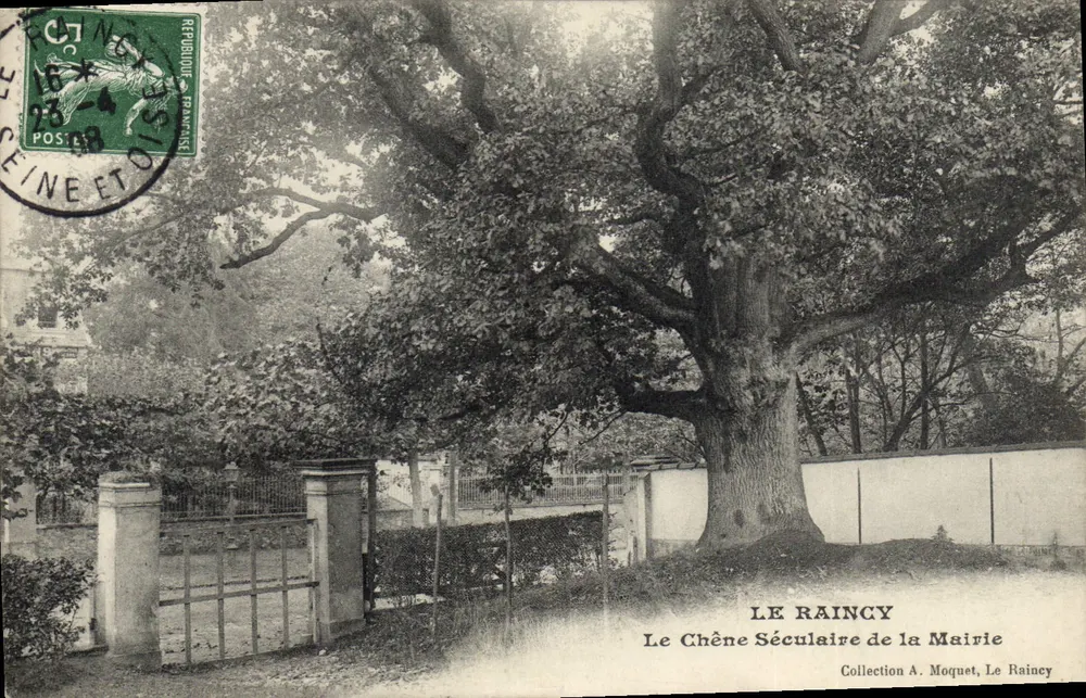 Le Chêne Séculaire de la Mairie — Le Raincy — Collection A. Moquet - Vorderseite