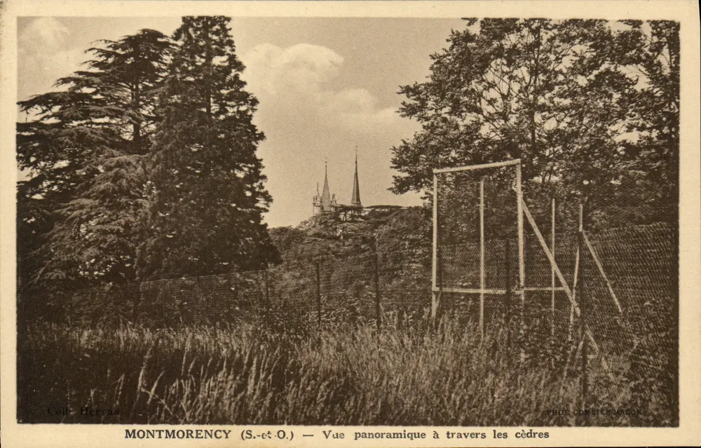 Montmorency (S.-et-O.) — Panoramablick durch die Zedern — Photo Combier-Macon - Vorderseite