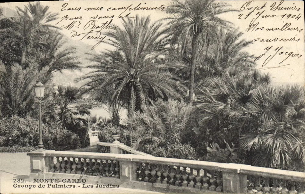 Monte-Carlo — Gruppe von Palmen - Die Gärten — Édition Vileaux, Nr. 782 - Vorderseite