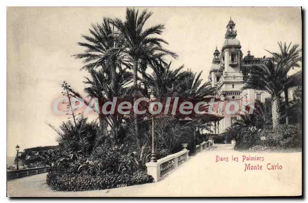 Unter Palmen — Monte Carlo — Verleger nicht sichtbar - Vorderseite