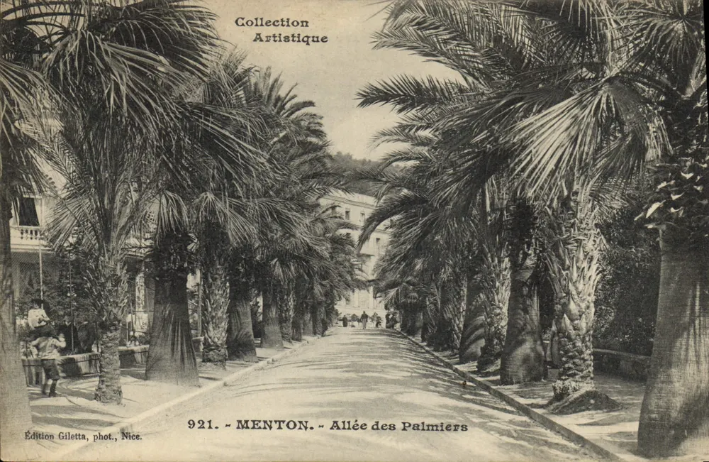 Menton - Avenida dos Palmeiras — Coleção Artística — Edição Giletta, Nice, n°921 - Frente