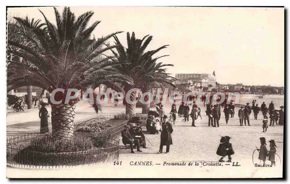 CANNES — Promenade della Croisette — LL. Sélecta, n° 141 - Recto