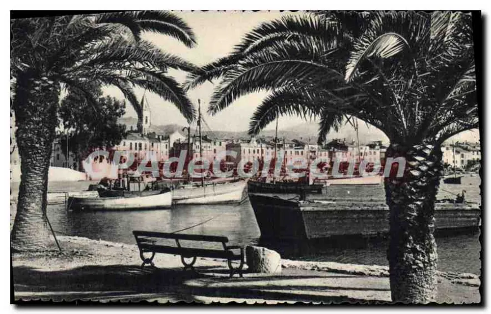 Sanary-sur-Mer — Ein Eckbereich des Hafens — Edition M. Bandol, Nr. 266 - Vorderseite
