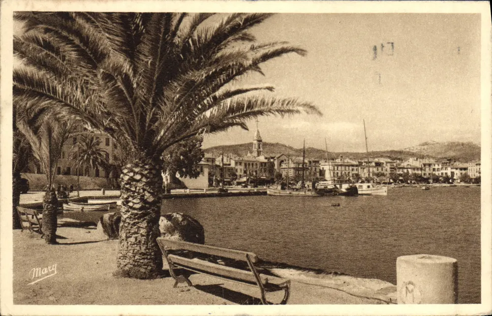 Sanary-sur-Mer — vista do porto com palmos — Mary - Frente
