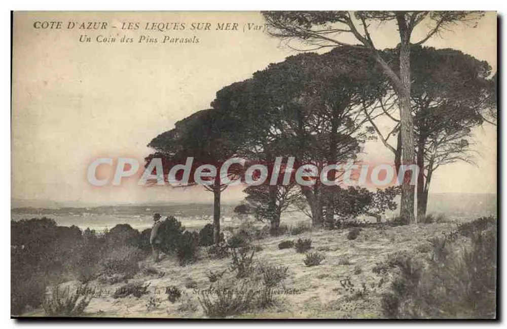Côte d'Azur - Les Leques sur Mer (Var) — Ein Eckchen der Parasol-Kiefern — Verlag: Flouy-Antoine, Nr. 83 - Vorderseite