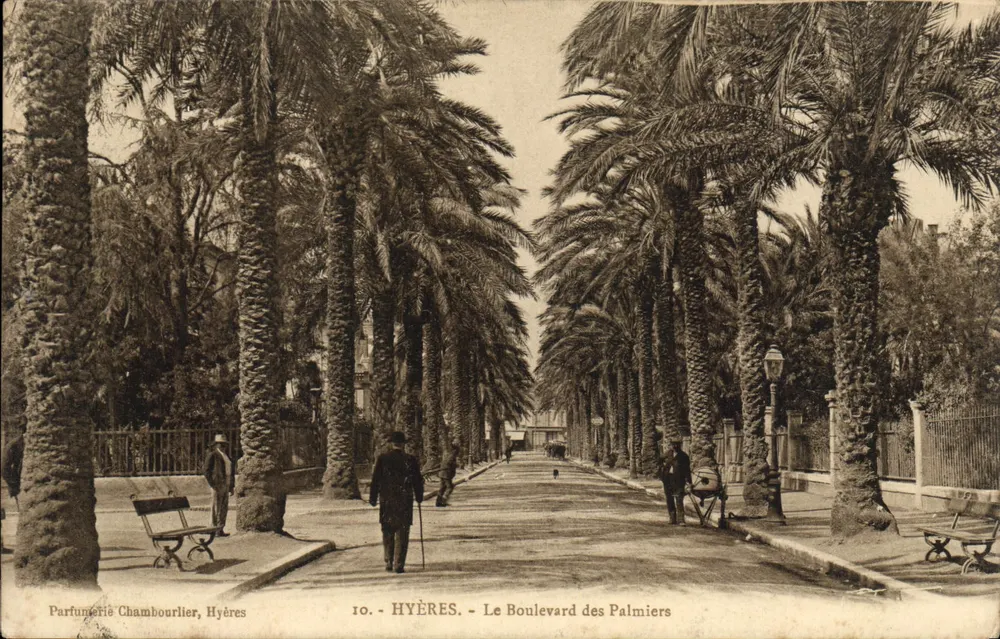 Hyères - O Boulevard dos Palmeiras — Parfumeria Chambourlier, n°10 - Frente