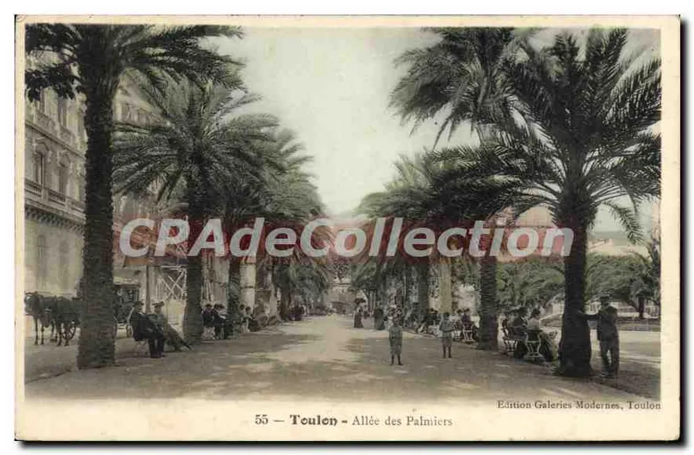 Toulon - Avenida dos Palmeiros — Edição Galeries Modernes, Toulon, n°55 - Frente