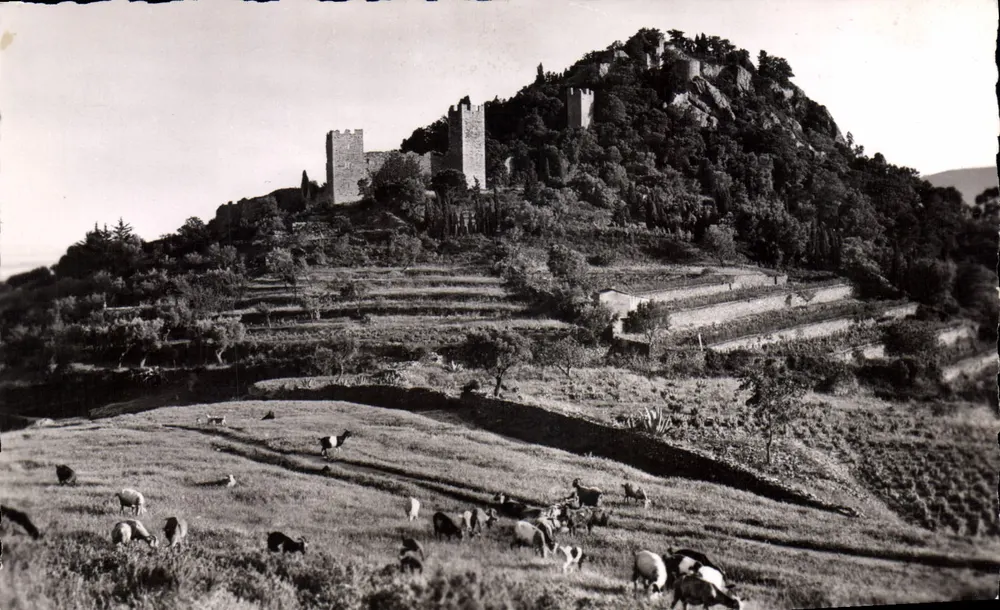 Hyères-les-Palmiers — Die Ruinen des Schlosses — Edition Henri Davilagnet, P.777 - Vorderseite