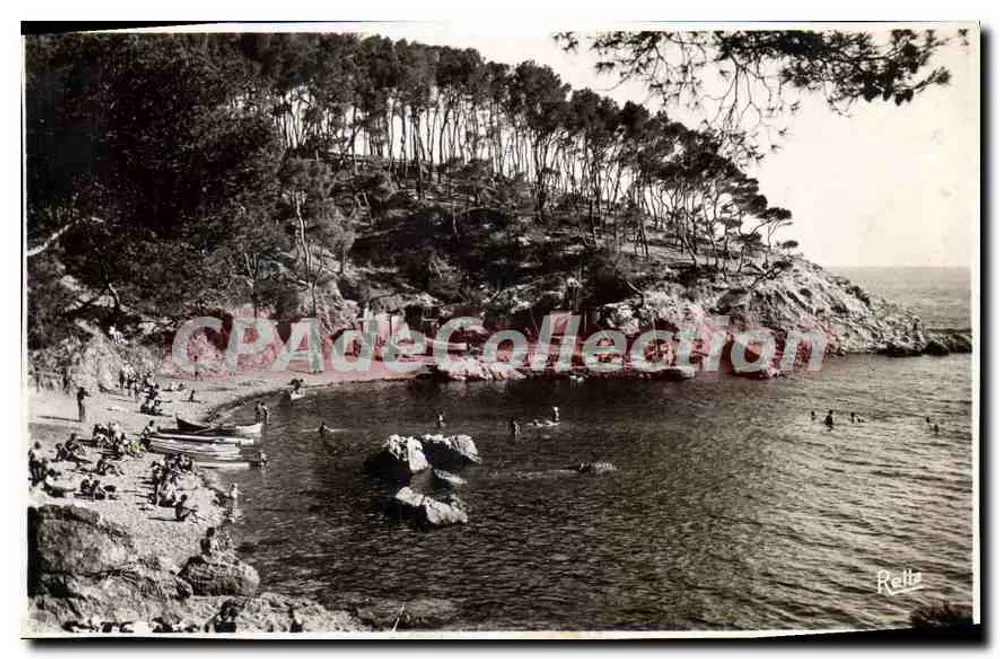 Anse de Méjan am Cap Brun — Umgebung von Toulon — Rella - Vorderseite