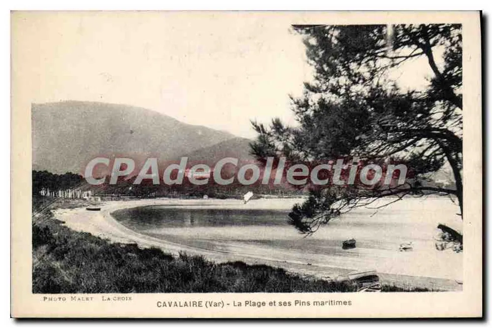 Cavalaire (Var) — A Praia e seus Pinheiros Marítimos — Foto Malet La Choix - Frente