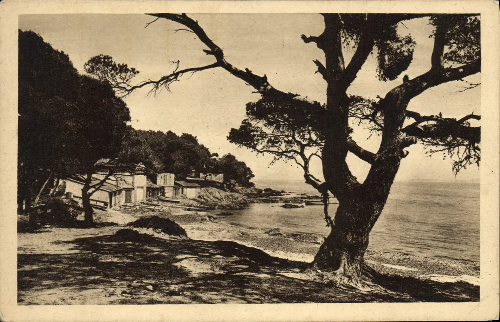Le Lavandou (Var) — La Plage de la Favière — Édition M. Pissot, Le Lavandou (Var) - Vorderseite