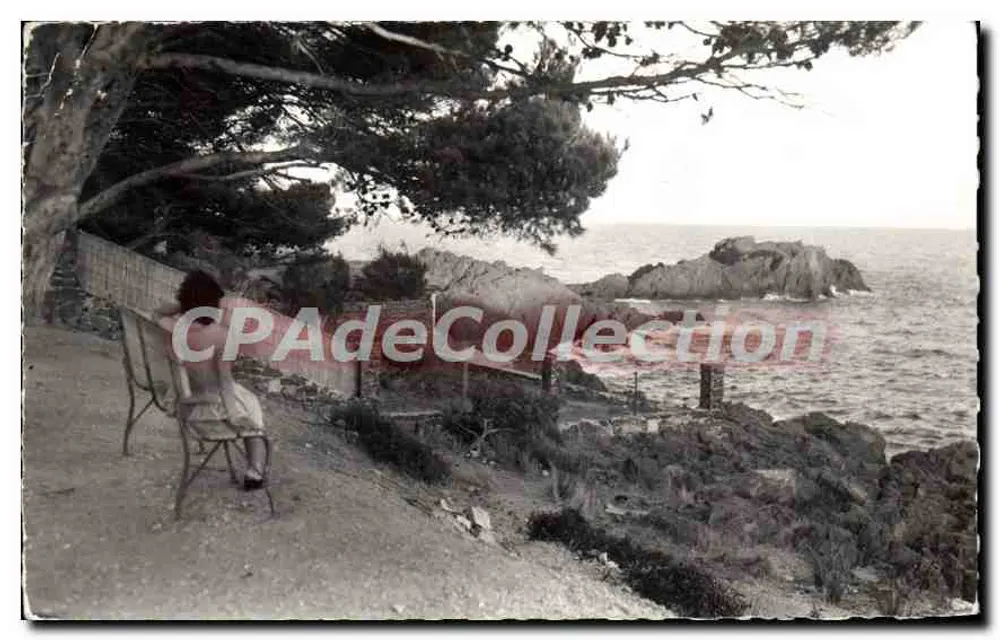 समुद्र के पास एक बैंक पर बैठी महिला — सेंट-राफाएल (वार) — CPAdeCollection - आगे