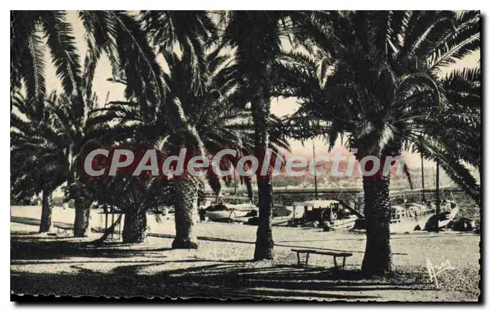 Bandol — Allée des Palmiers — Edición Arts Bandol - Anverso