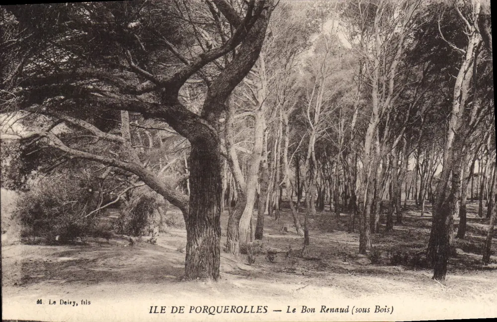 Île de Porquerolles — Le Bon Renaud (sous Bois) — M. Le Deley, fils - Vorderseite