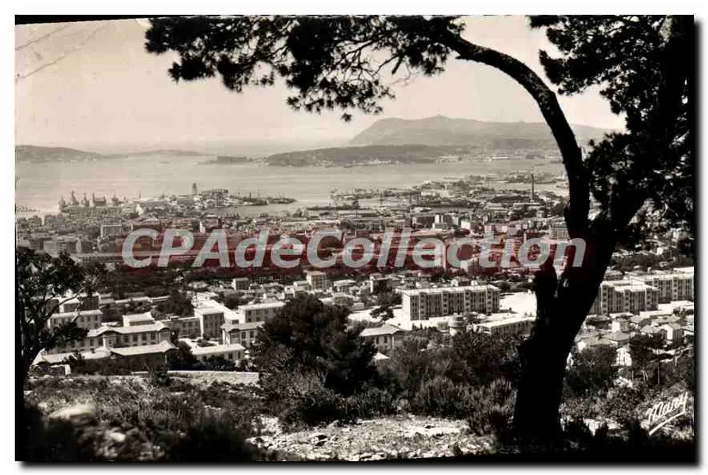 Toulon — Vista geral — Editores MARYESC, rue de Toulon - Frente