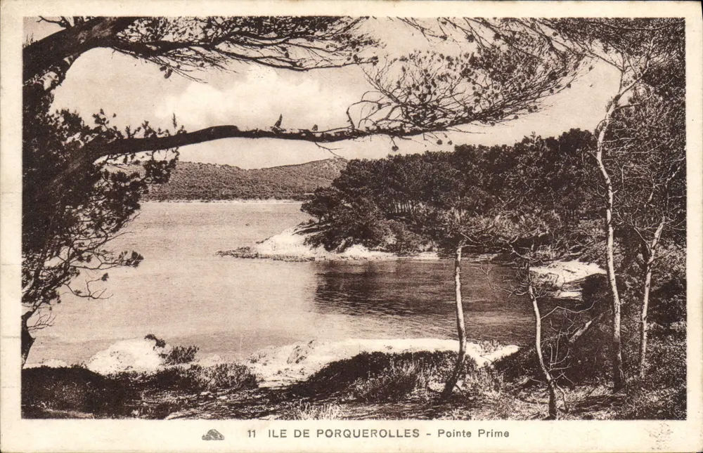 Ilha de Porquerolles - Ponta Prime — vista a partir de um quadro arborizado — editor não identificado, n° de série 11 - Frente