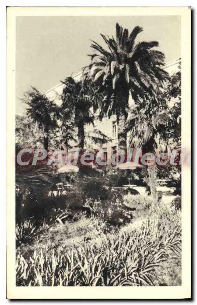 Jardim tropical com palmeiras — Hotel Lutetia — Hyères (Var) - Frente