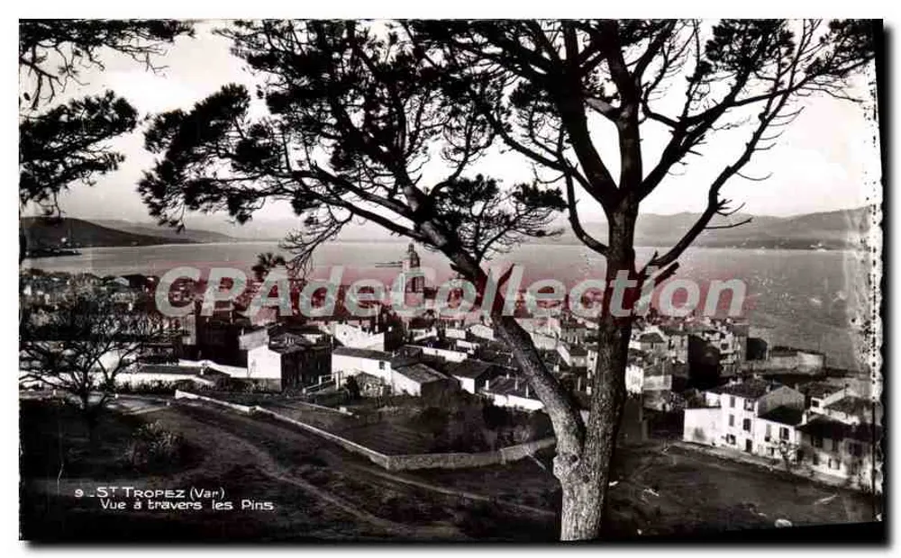 Saint-Tropez (Var) — Visão através dos Pinheiros — Sociedade Tabas du Port - Frente