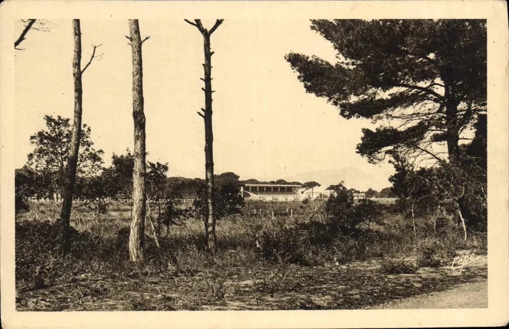 Hyères - Hippodrome de la Plage und seine prächtigen Kiefern — Verlag Cépe - Vorderseite