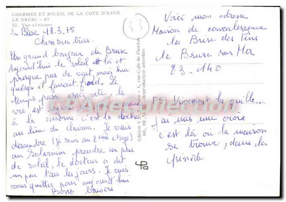 Le Brusc — Luftbild — Édition Y. P. A. Brusc - 3 - Rückseite