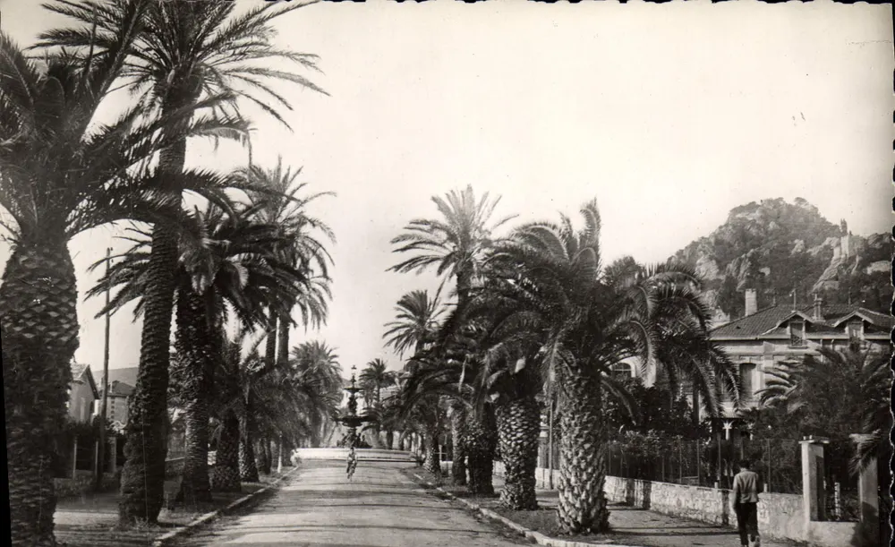 Hyères-les-Palmiers — Avenue Godillot — Éd. MARY, Toulon - Vorderseite