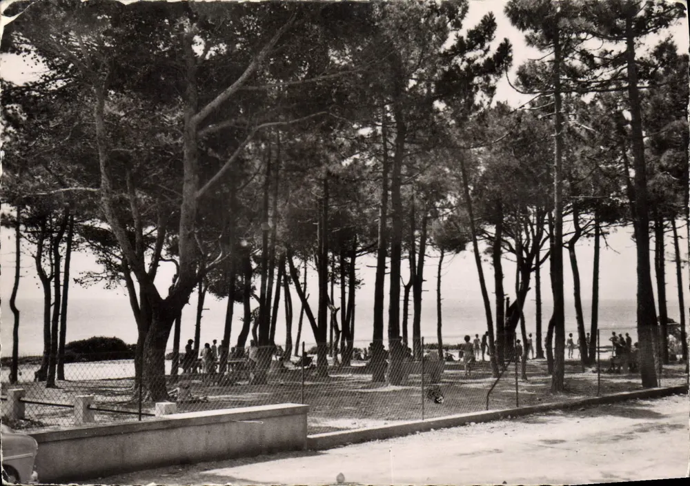 Les Issambres — Dorf des T.C.F. La Pinède — Cliché A. Sté - Fréjus - Vorderseite