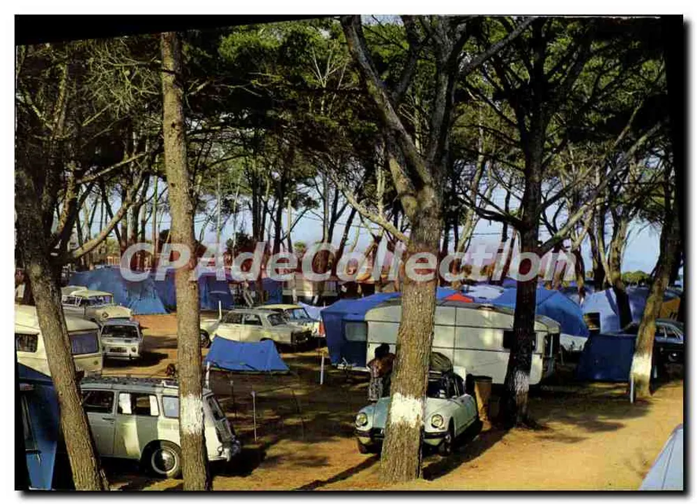 Camping unter den Kiefern — Capte-d'Hyères — Verlag Combier Drucker (71, S.A.L.) - Vorderseite