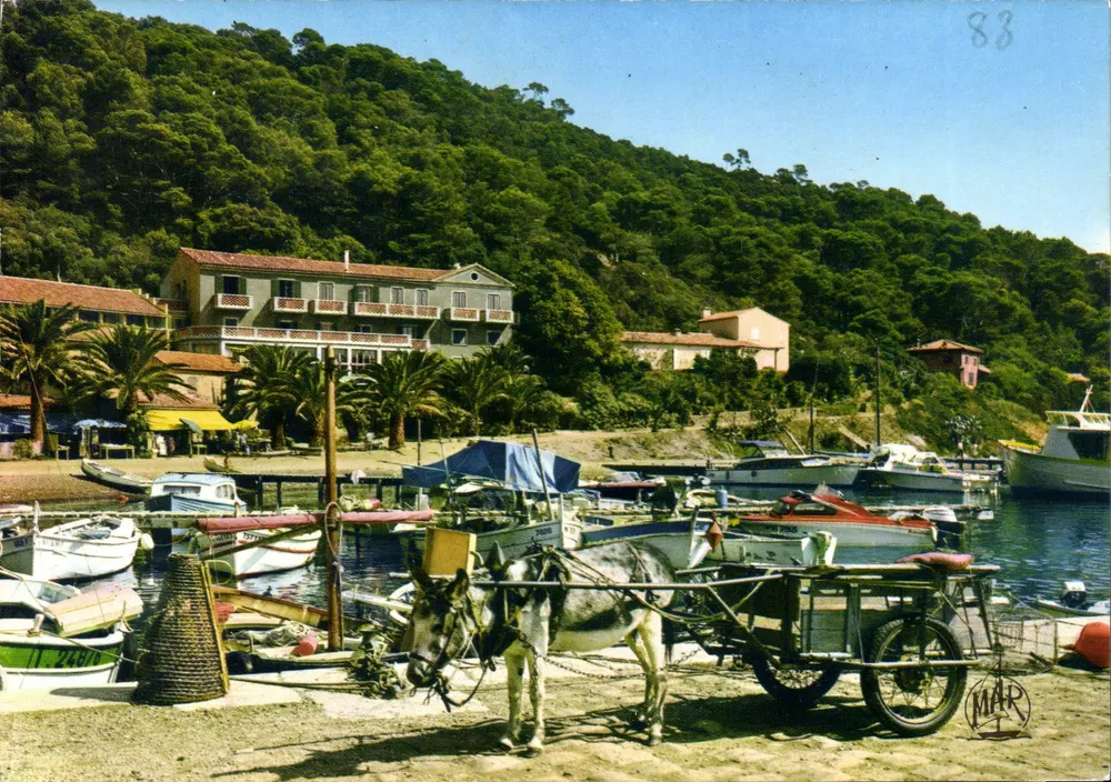 Port-Cros — Der kleine Hafen — Éditions AMAB, n° 5101 - Vorderseite
