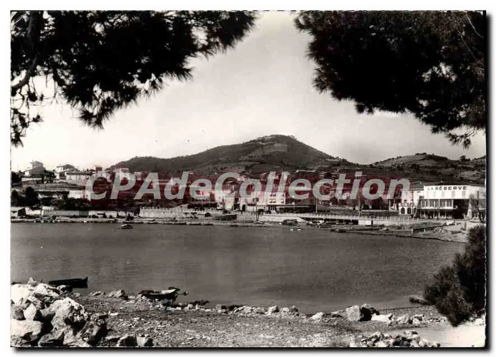 Carqueiranne (Var) — Der Hafen aus den geneigten Kiefern gesehen — Foto Joubert - Vorderseite