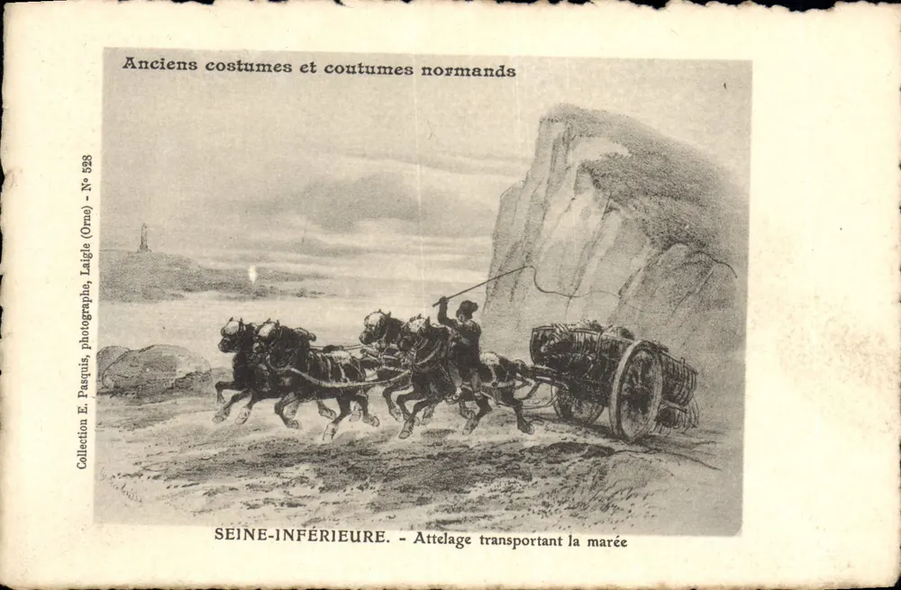 Kutsche, die die Flut transportiert — Seine-Inférieure — E. Pasquis, Fotograf, Liège (Orne) - Nr. 528 - Vorderseite