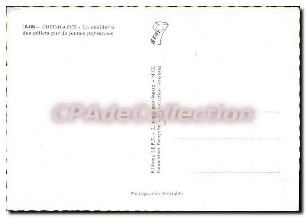 Côte-d'Azur — Die Ernte von Mohnblumen durch junge Bauernfrauen — Editions S.E.P.T., Nice - Rückseite