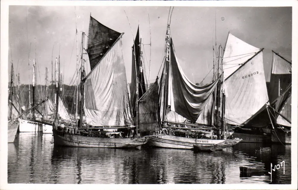 Concarneau (Finistère) — Thonboote am Anker — Les Editions d'Art, 60 - Vorderseite