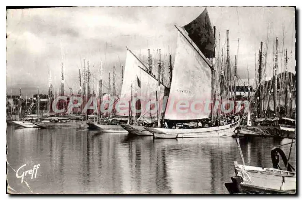Concarneau — Thunboote am Hafen — Greff - Vorderseite