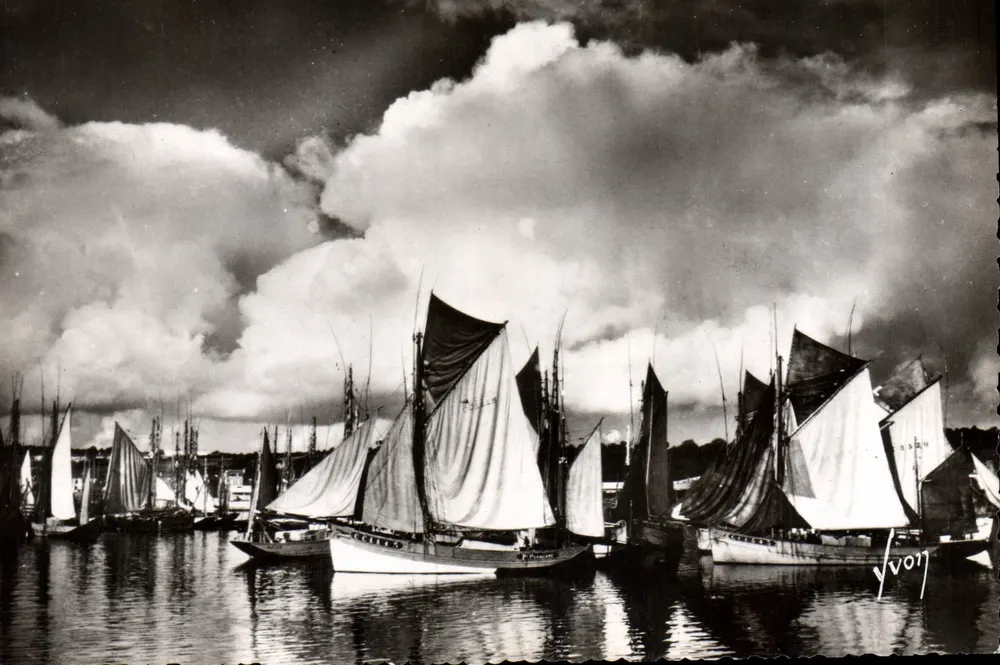 Concarneau (Finistère) — Fischboote am Hafen — Éditions d'Art Vivon, Nr. I.B. 463 - Vorderseite
