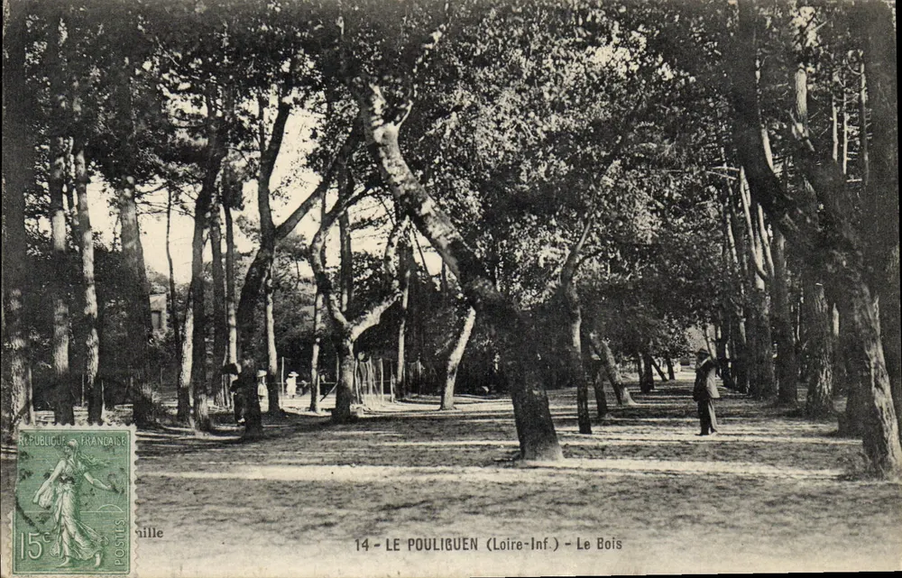 Le Pouliguen (Loire-Inf.) - Der Wald — unbekannter Verlag, Nr. 14 - Vorderseite