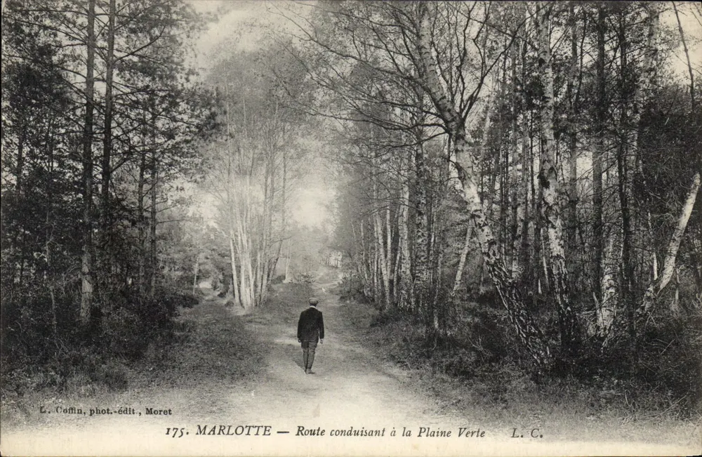 Marlotte — Straße führend zur Plaine Verte — L. Coffin, Foto-Verlag, Moret, Nr. 175 - Vorderseite