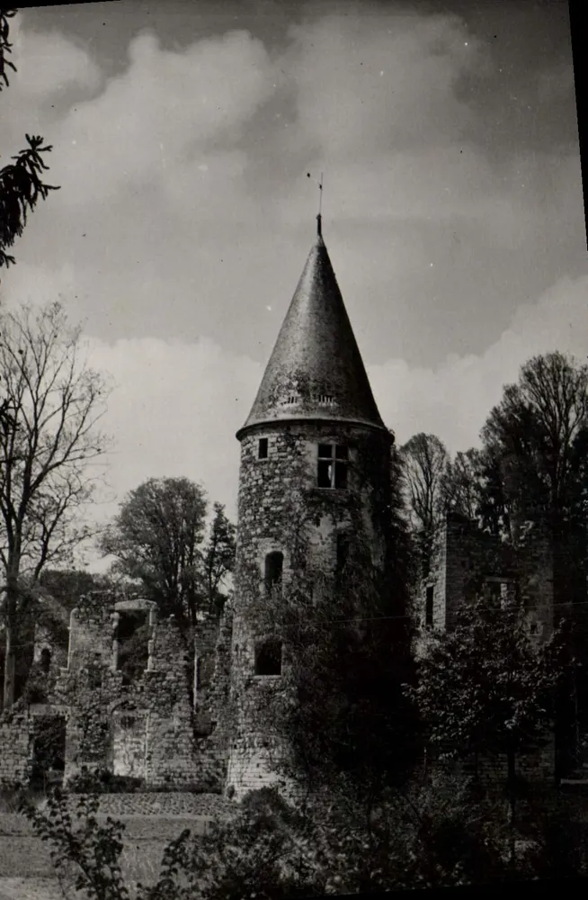 Die Ruinen des Vivier (Charles VI) — Chaumes-en-Brie (S.-A.-M.) — Édit. ROCA - Bocdy (Sceaux) n°77 - Vorderseite
