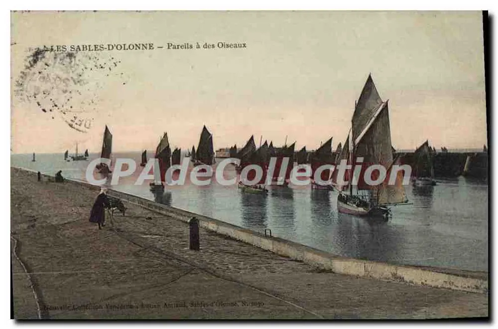 Les Sables-d'Olonne — Podobne do ptaków — Nowa kolekcja, Wydawca Amiguel, nr 5090 - Awers
