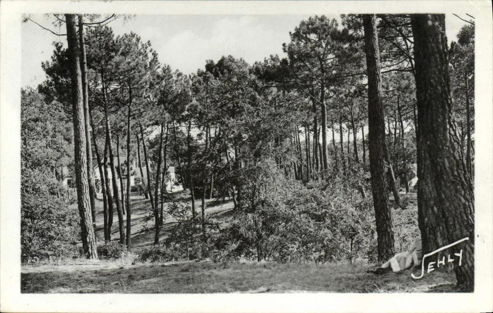 Longeville-sur-Mer — Landschaft im Wald — JEHLY - Vorderseite