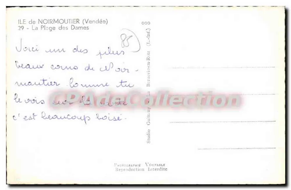 Plage des Dames — Ile de Noirmoutier (Vendée) — Studio Guittany - Verso