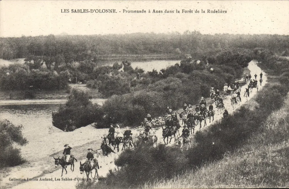 Les Sables-d'Olonne — Spaziergang mit Eseln in der Forêt de la Rudelière — Sammlung Lucien Amlaud, Les Sables-d'Olonne, Nr. 2112 - Vorderseite