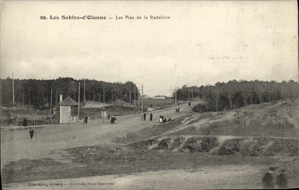 Les Sables-d'Olonne — Les Pins de la Rudelière — Limousin, éditeur - Vorderseite