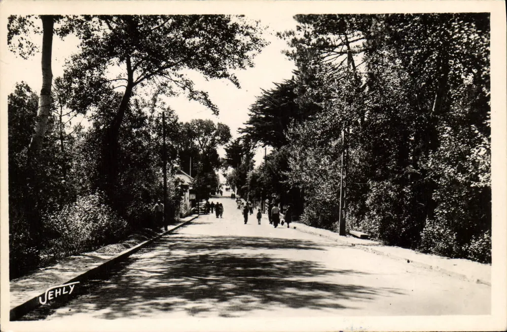 Bäumchenreiche Straße in Saint-Jean-de-Monts — Verlag Jehly, Seriennummer sichtbar - Vorderseite