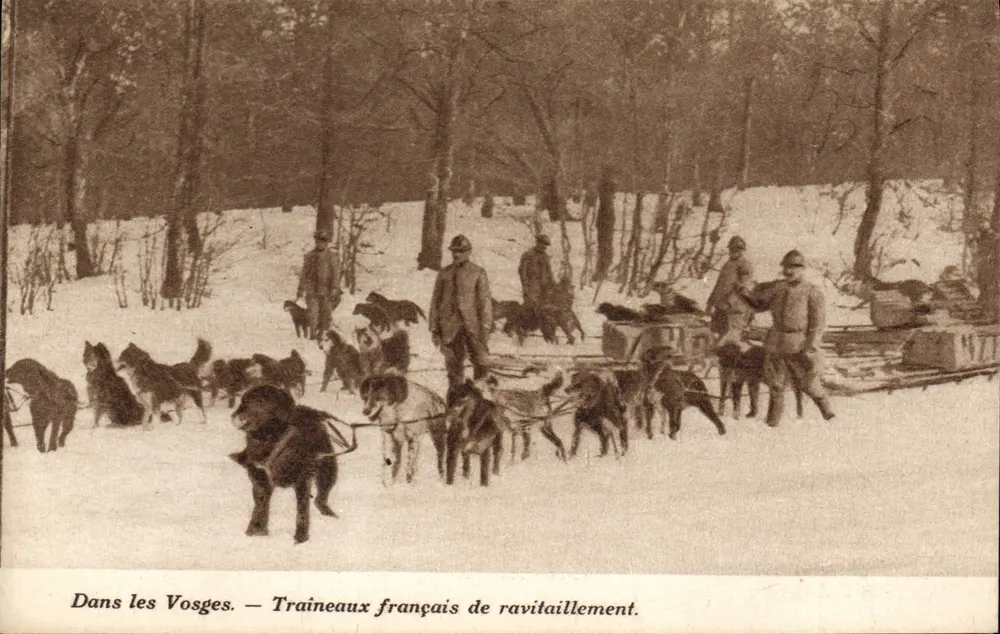 In den Vosges — französische Schlitten für Versorgung — Antike Ansichtskarte - Vorderseite