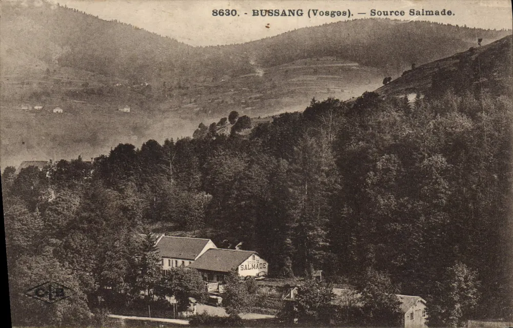 Bussang (Vosges) — Quelle Salmade — Verlag C. Lédié, Nr. 8630 - Vorderseite