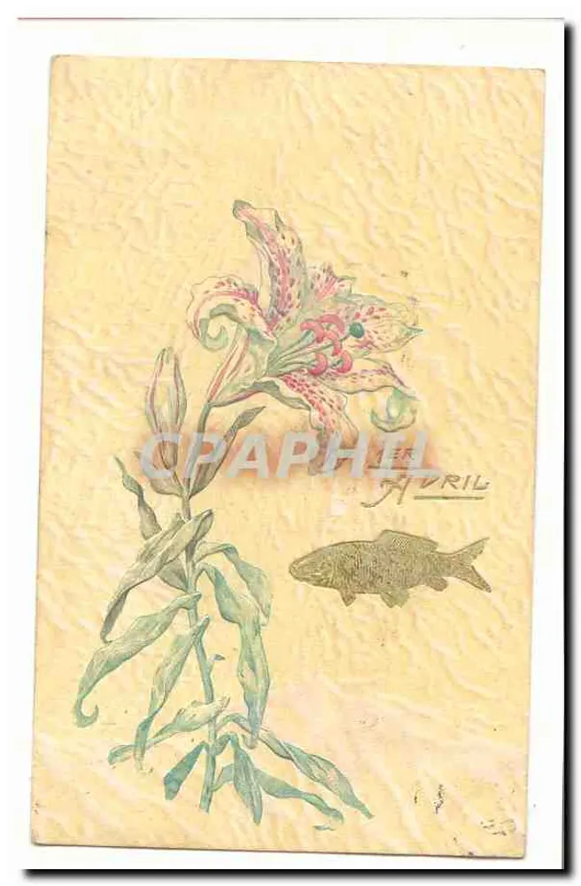 Lilac in Bloom — Botanische Illustration — Verlag ADRIIL - Vorderseite