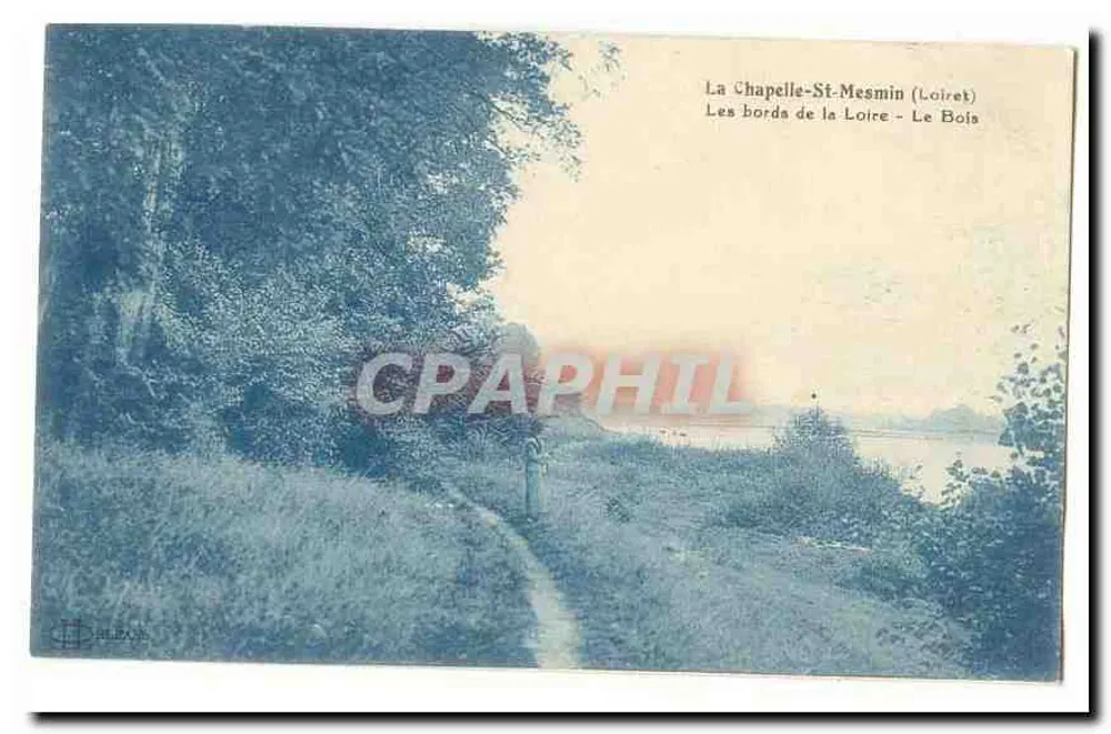 La Chapelle-St-Mesmin (Loiret) — Die Ufer der Loire — Der Wald - Vorderseite