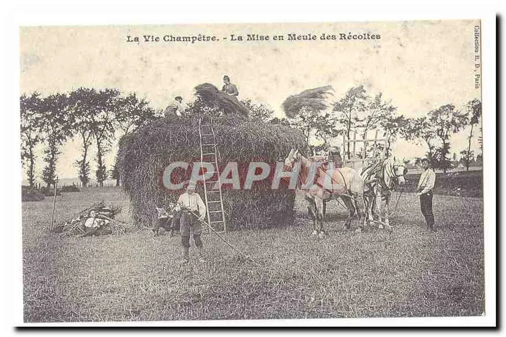 Ländliches Leben - Das Stapeln der Ernte - Sammlung H. D., Paris - Vorderseite
